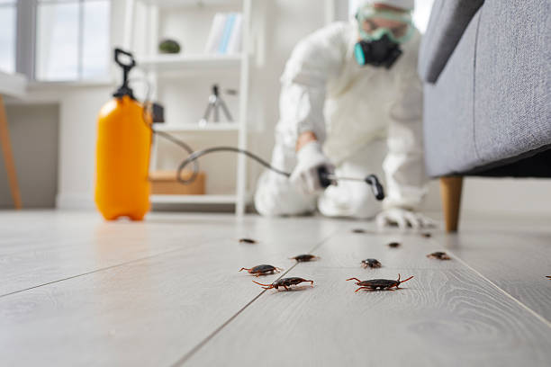 Post-Treatment Bed Bug Interceptor Monitoring in Oceano